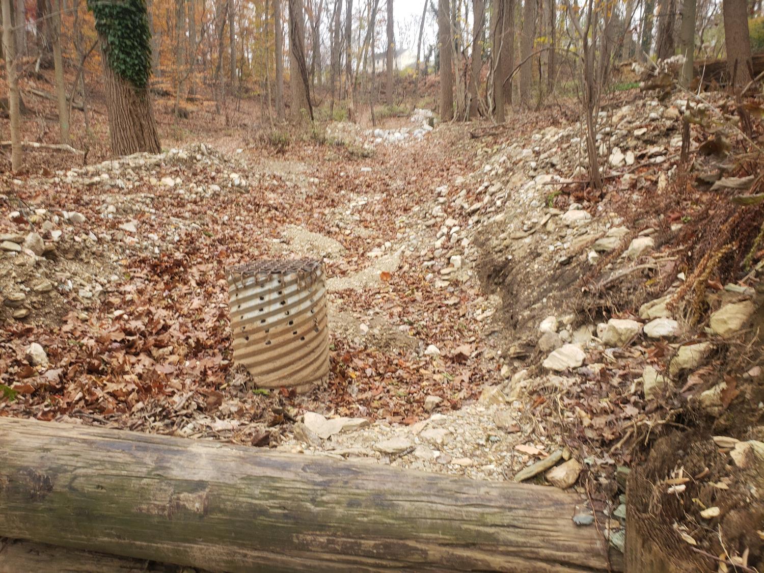 leafy area near willis woodcrest and upper weadley roads