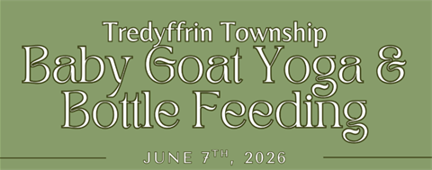 babygoatyoga2026.png