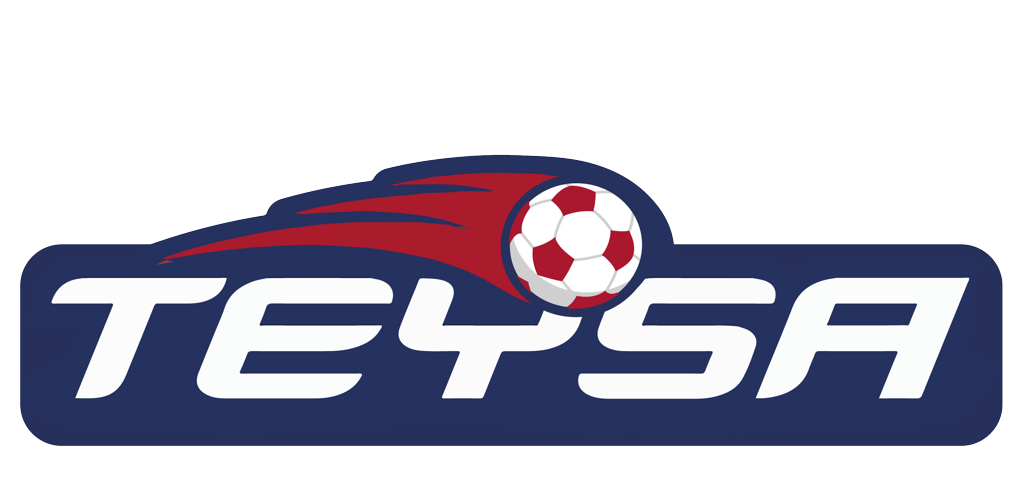 TEYSA-logo.png